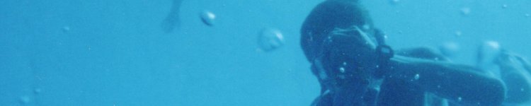 Matt from about 16m, Roatan, Honduras, 2000