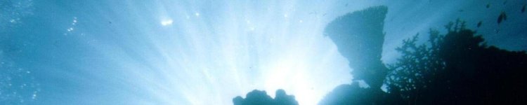 View from 16m, Great Barrier Reef, Australia, 2001