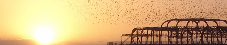 Sunset, Brighton, 2005